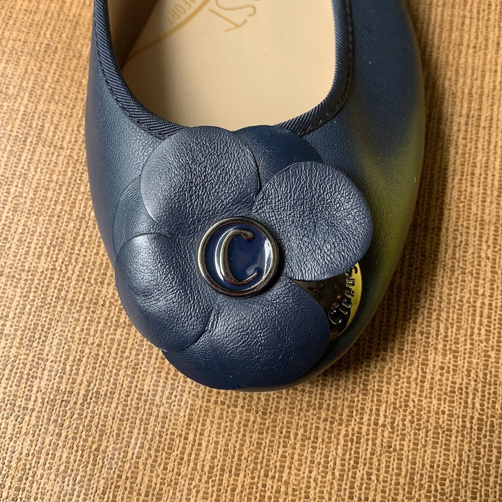 BLUE FLATS - Picture 2 of 3